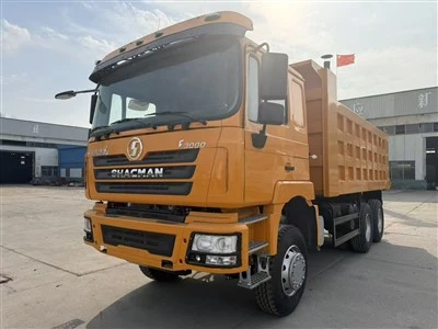 SHACMAN F{0}}x4 kippiauto